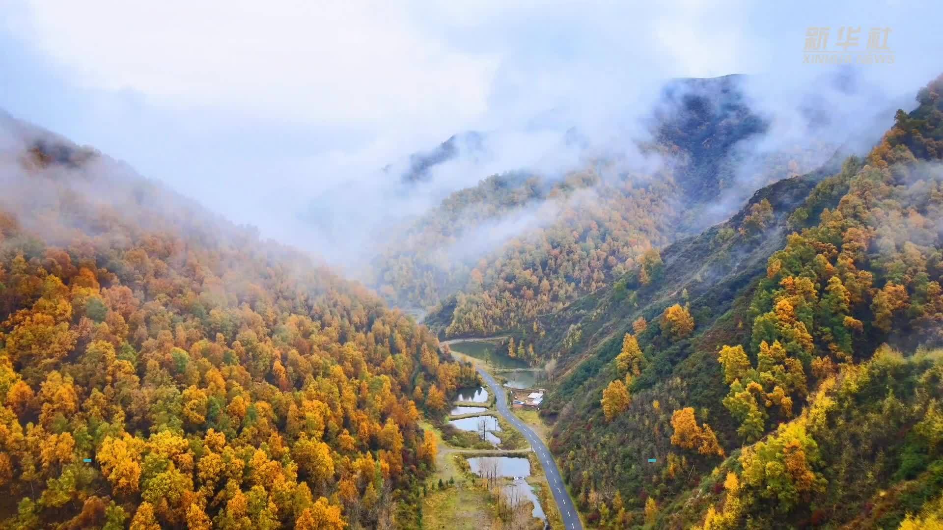 黄河三峡 秋景如画