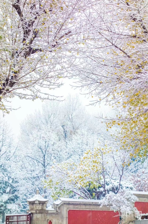 吉林长春迎初雪