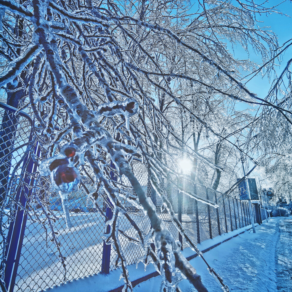 吉林长春迎初雪