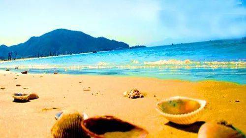 夏日海边游