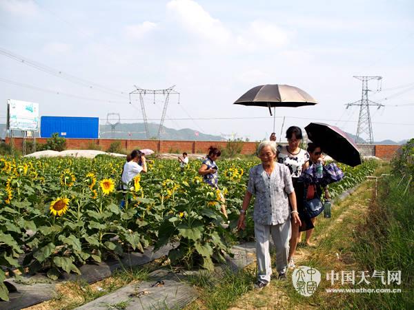 夏日“俏”游乡村