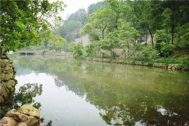 夏日“俏”游乡村