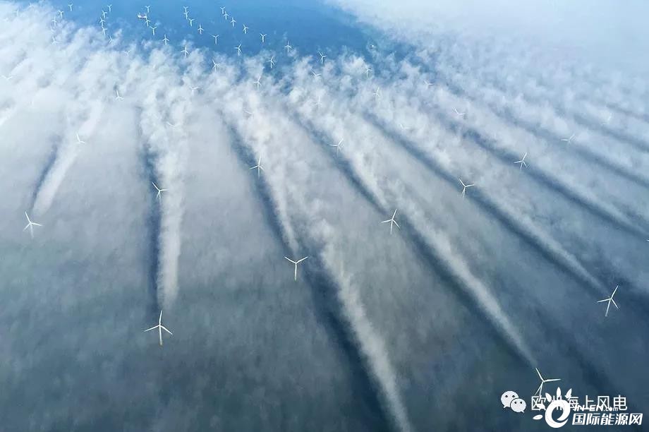 开全球先河！丹麦将针对农业征收碳税 每头牛每年约750元