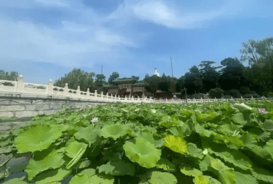 多地取消旅游预约 “不约而至”如何体验良好？