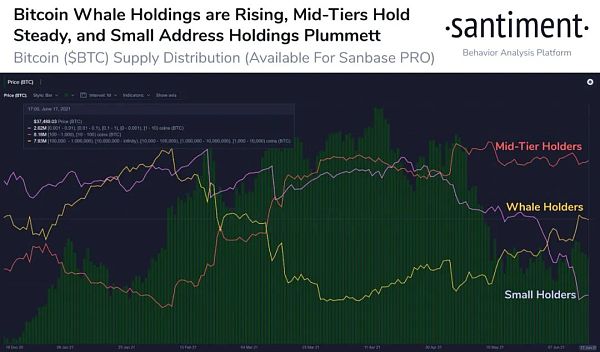 特朗普比特币大会筹款活动“价目表”曝光 合影起步价6万美元