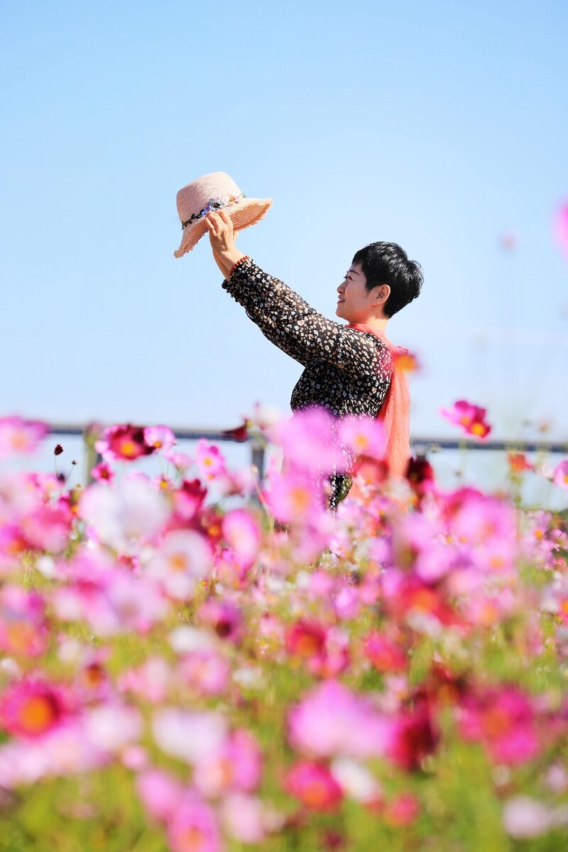 畅游花海