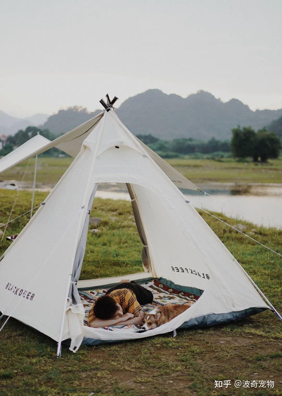 美国降息叙事又添新章：背包客钱包日渐干瘪 民宿平台股价暴跌