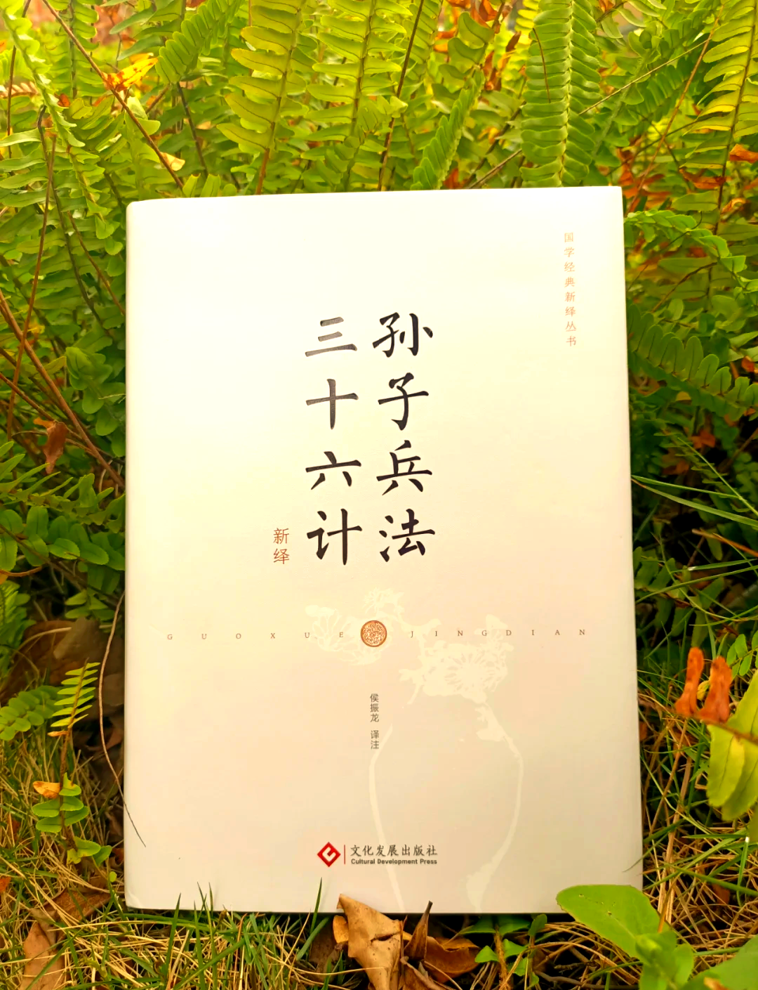 特朗普被建议：读读《孙子兵法》吧