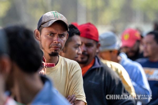 美国国土安全部长手提包遭窃 边境“铁娘子”竟失守华盛顿餐厅