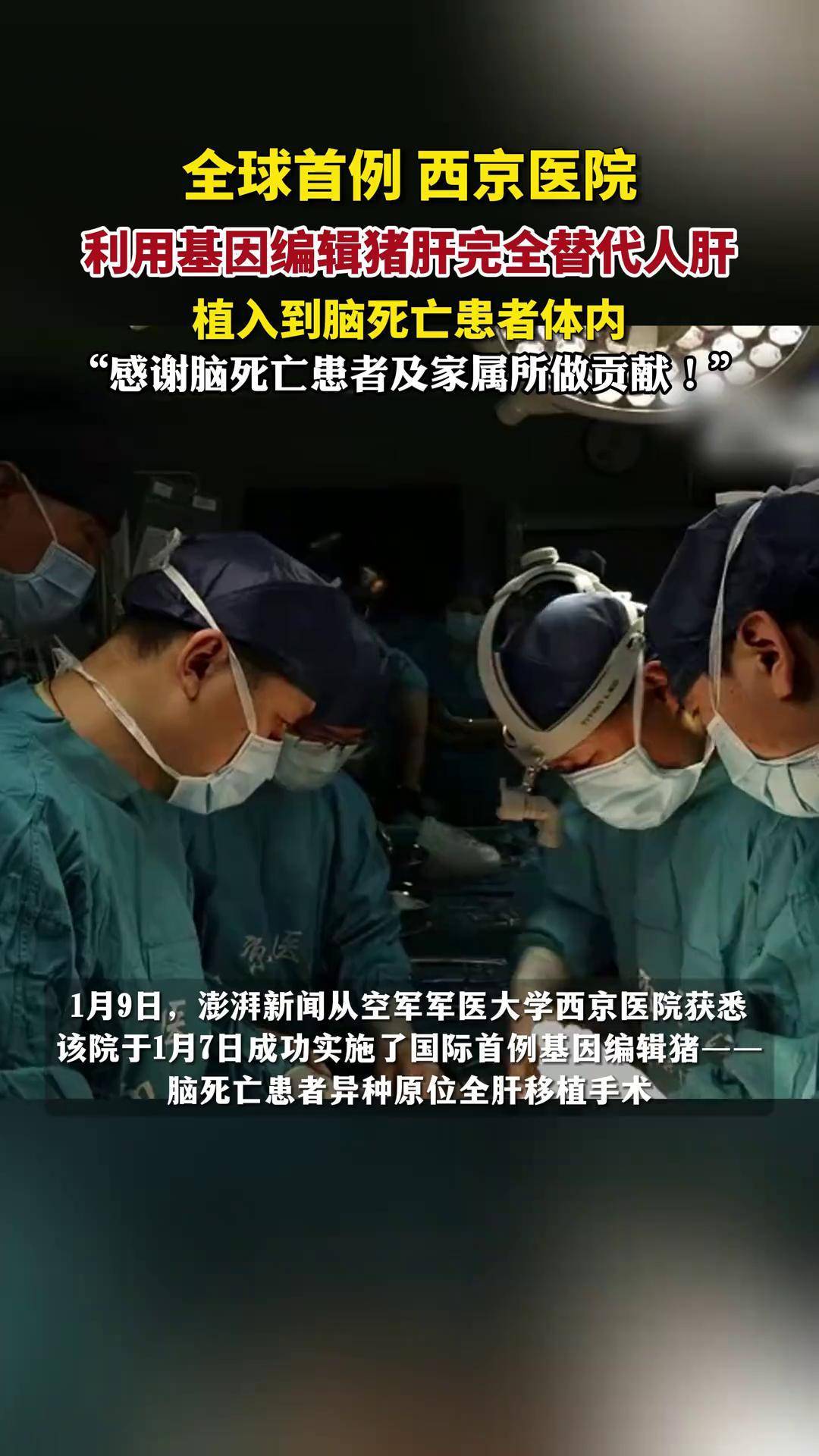 世界首例！中国团队将基因编辑猪肺成功移植人体