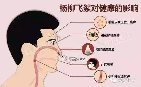 防台风可不只是“家里蹲” 这份安全防护攻略请收好