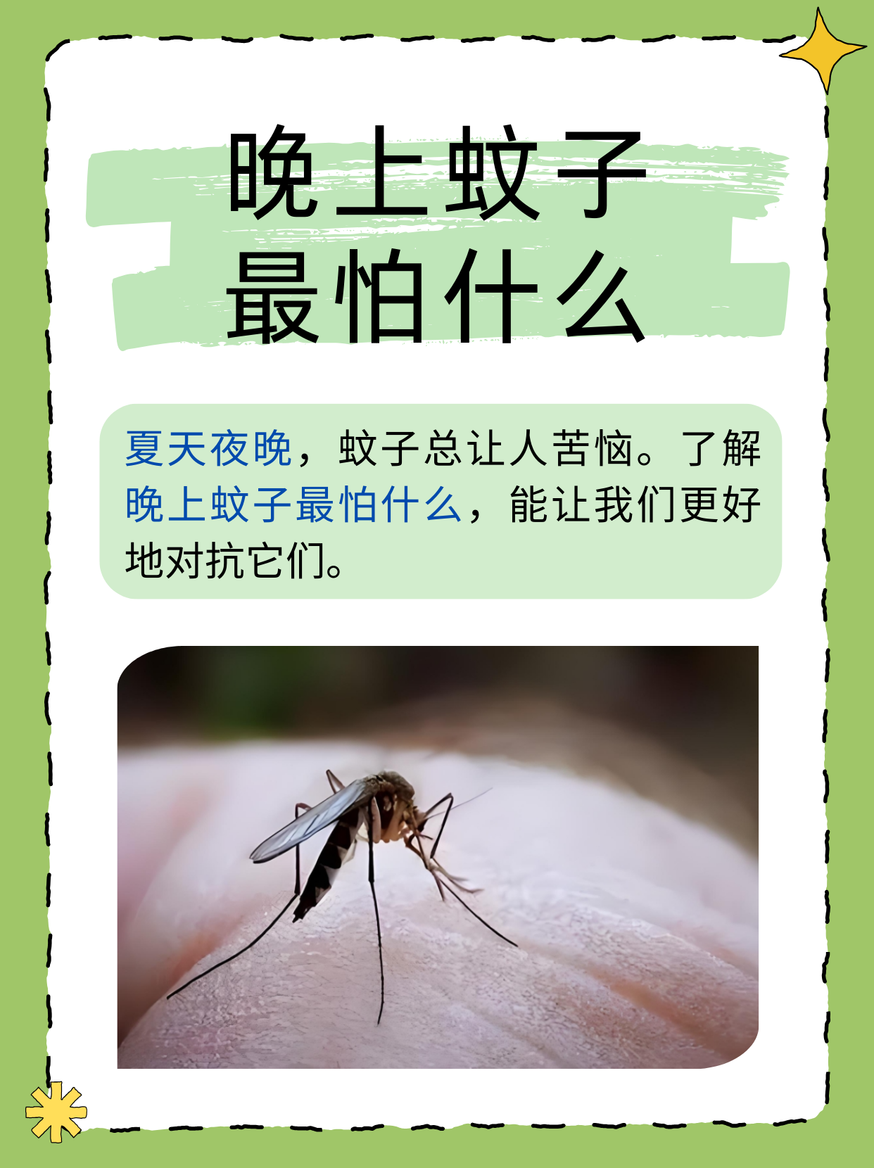 唠“科”话丨为啥蚊子总叮你？“招蚊”跟血型相关？